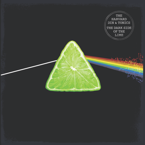 The Dark Side of the Lime Cover Art Blurred Background