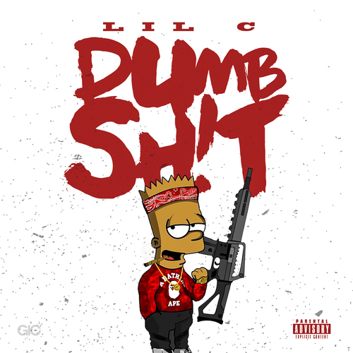 Dumb Shit Cover Art Blurred Background