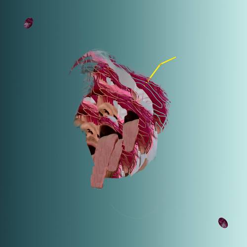 The Sound of My Experience Cover Art Blurred Background