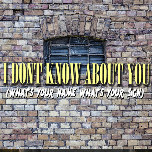 I Don't Know About You (What's Your Name, What's Your Sign) [Chorus] [Cover] Cover Art Blurred Background