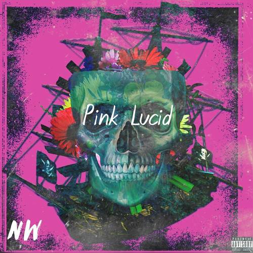 Pink Lucid Cover Art Blurred Background