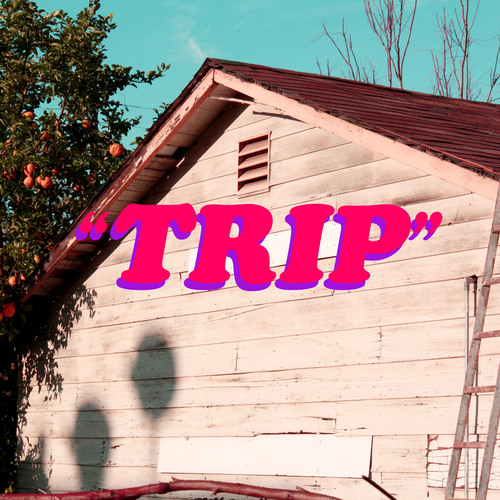 Trip Cover Art Blurred Background