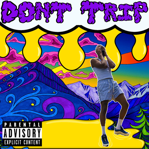 Don't Trip Cover Art Blurred Background