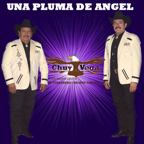 Una Pluma de Angel Cover Art Blurred Background