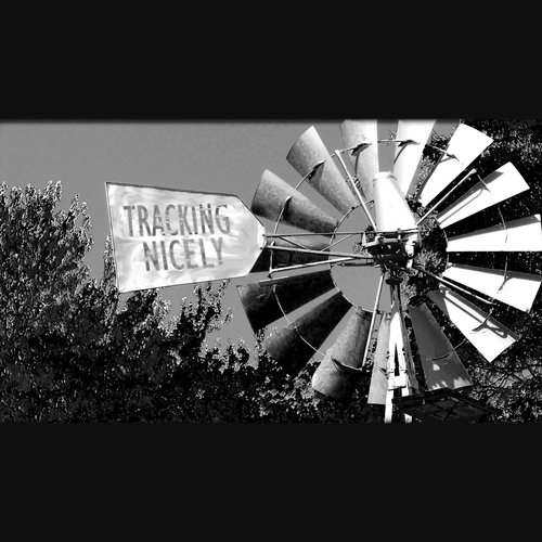 Tracking Nicely Anthology Cover Art Blurred Background