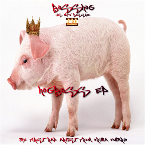 HogBoss Cover Art Blurred Background