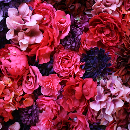 Night Milk Cover Art Blurred Background