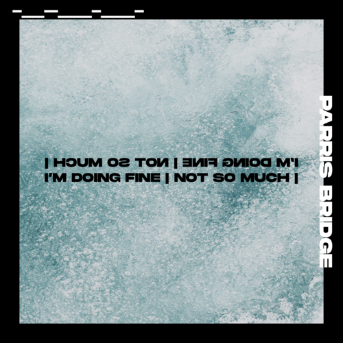 I'm Doing Fine (Not so Much) Cover Art Blurred Background