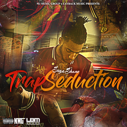 Trap Seduction Cover Art Blurred Background