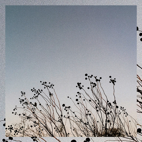 What Now? Cover Art Blurred Background