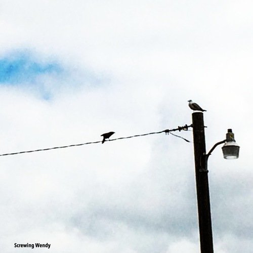 Screwing Wendy Cover Art Blurred Background