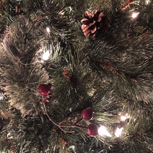 Christmas Card Cover Art Blurred Background
