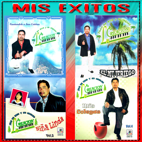Mis Exitos Cover Art Blurred Background