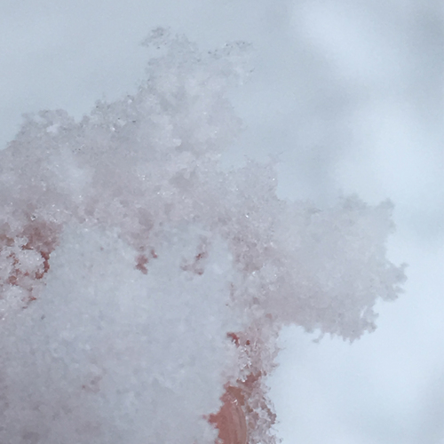 Fresh Snow Cover Art Blurred Background