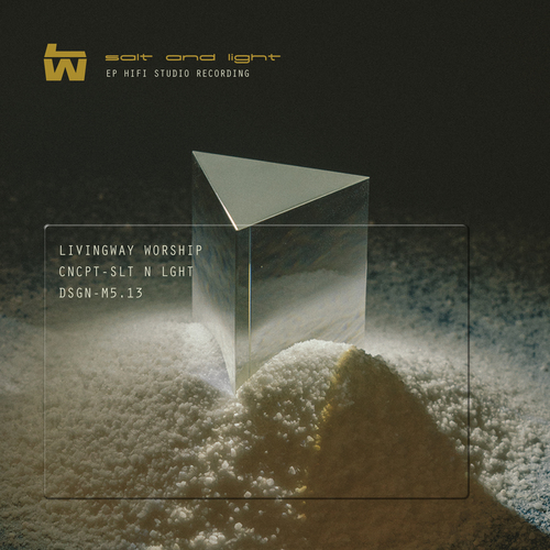 Salt and Light Cover Art Blurred Background