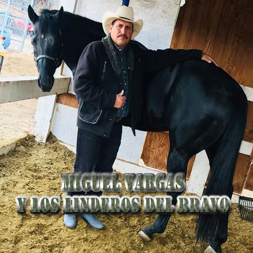 Miguel Vargas y los Linderos del Bravo Cover Art Blurred Background