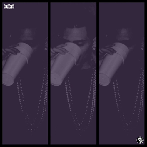 Double Cups & Swisher Blunts, Vol. 1 & 2 Cover Art Blurred Background