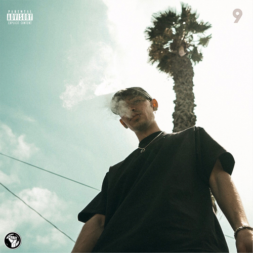 9 Cover Art Blurred Background