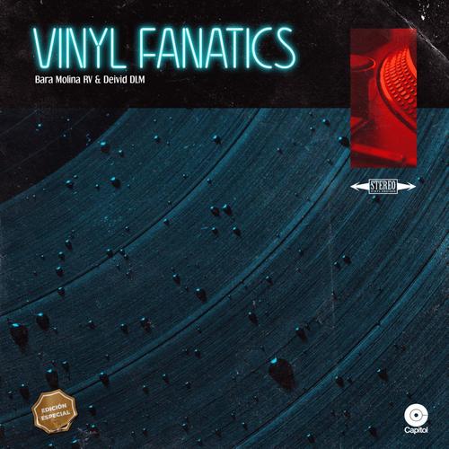 Vinyl Fanatics Cover Art Blurred Background
