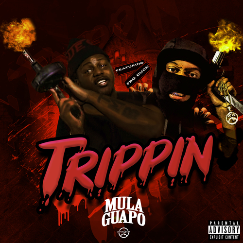 Trippin Cover Art Blurred Background