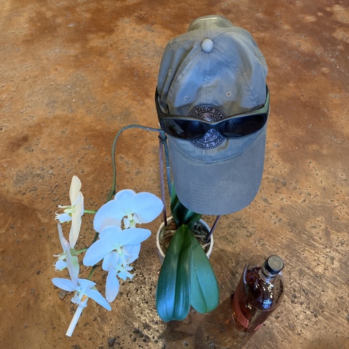 Stress Reduction Cover Art Blurred Background