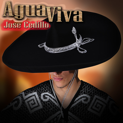 Agua Viva Cover Art Blurred Background