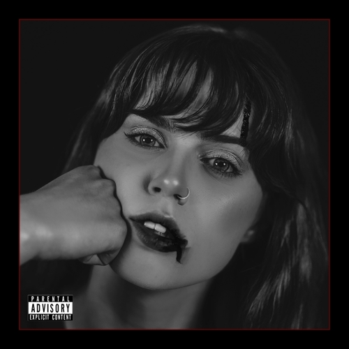 Crushed Velvet Cover Art Blurred Background