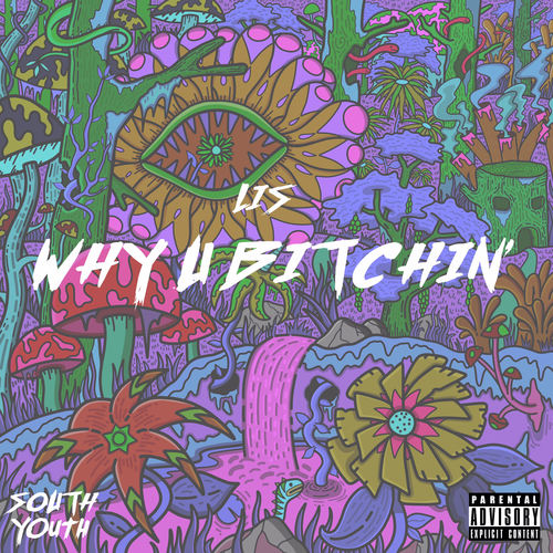Why U Bitchin' Cover Art Blurred Background