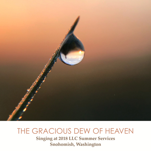 The Gracious Dew of Heaven Cover Art Blurred Background