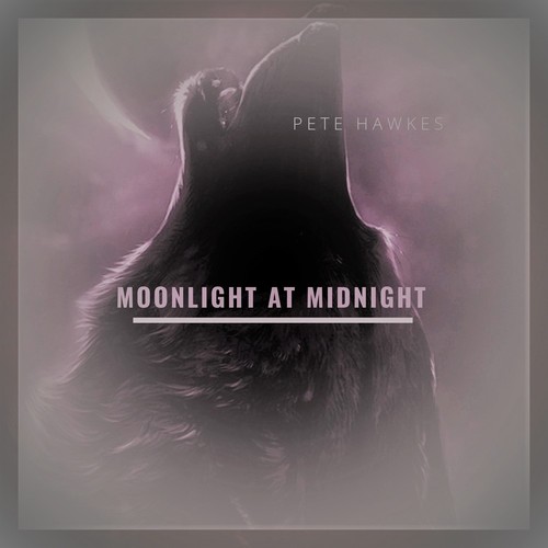 Moonlight at Midnight Cover Art Blurred Background