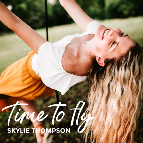 Time to Fly Cover Art Blurred Background