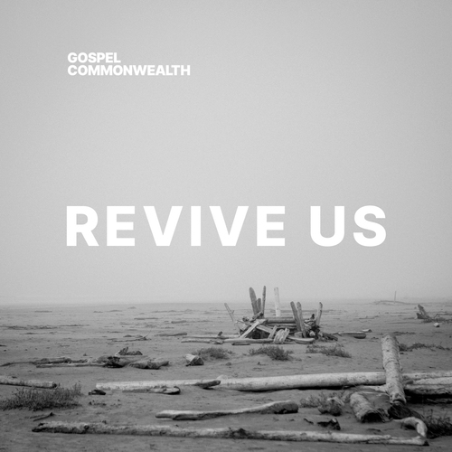 Revive Us Cover Art Blurred Background
