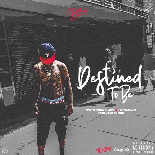 Destined to Be Cover Art Blurred Background