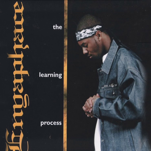 The Learning Process Cover Art Blurred Background