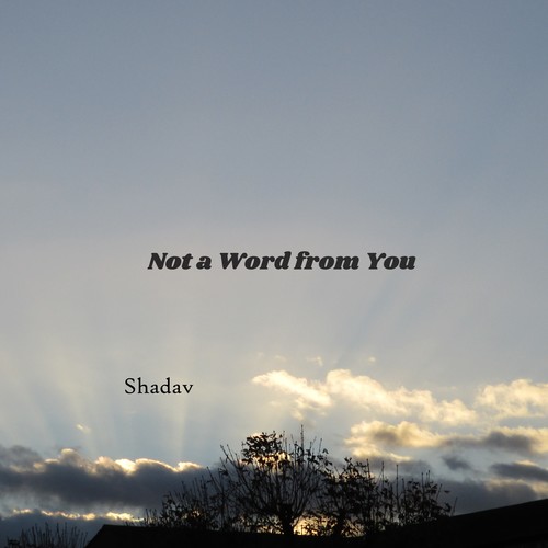 Not a Word from You Cover Art Blurred Background