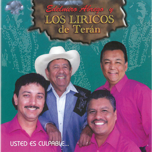 Los Líricos de Terán Usted Es Culpable Cover Art Blurred Background