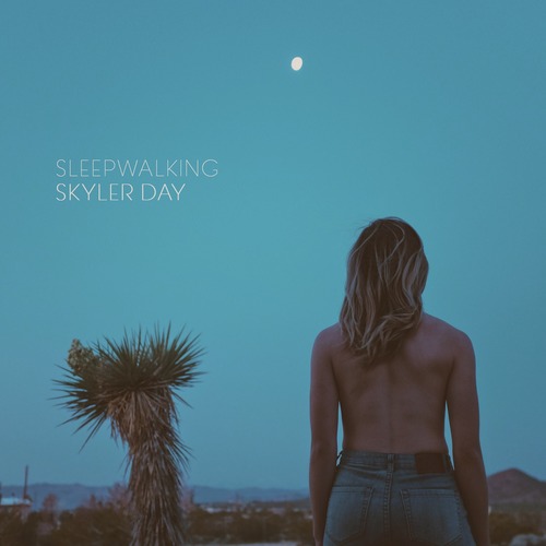 Sleepwalking Cover Art Blurred Background