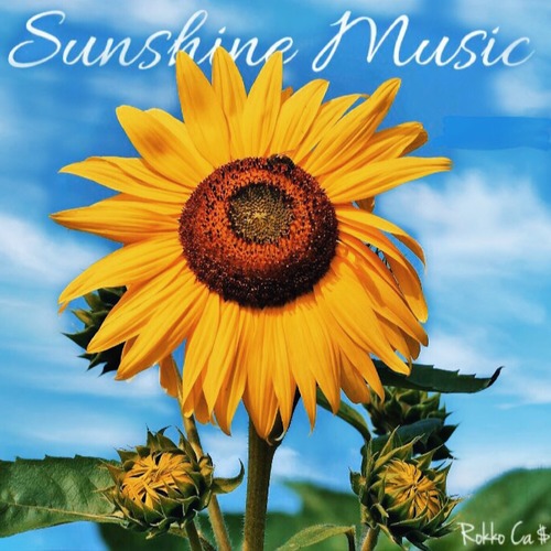 Sunshine Music Cover Art Blurred Background