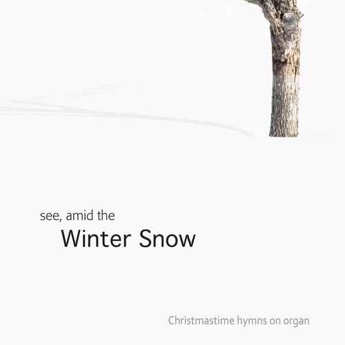 See, Amid the Winter Snow Cover Art Blurred Background