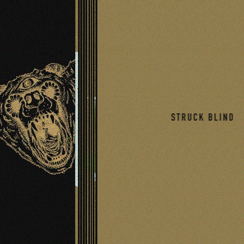 Struck Blind Cover Art Blurred Background