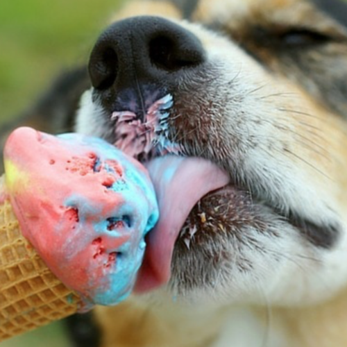 Yummy (Instrumental Remix) Cover Art Blurred Background