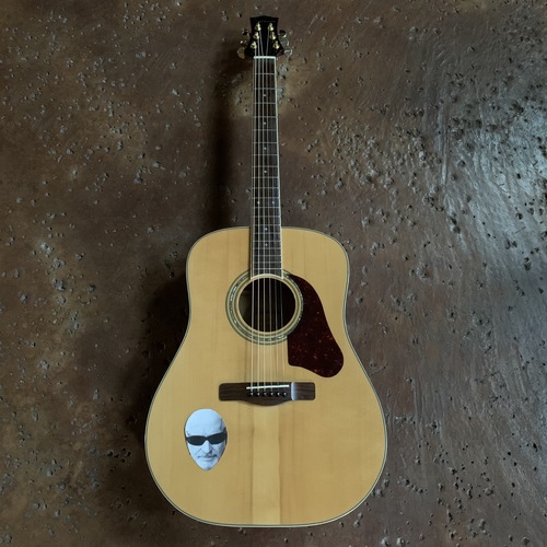 Pick and a Guitar Cover Art Blurred Background