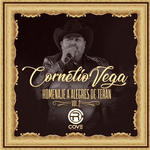 Homenaje a los Alegres de Teran, vol. 2 Cover Art Blurred Background
