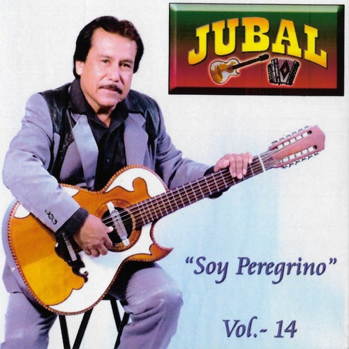Soy Peregrino, vol. 14 Cover Art Blurred Background