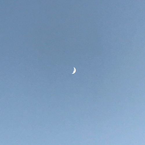 Reunion Cover Art Blurred Background