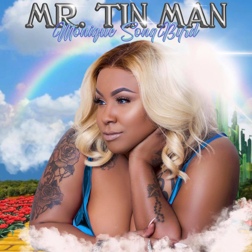 Mr. Tin Man Cover Art Blurred Background