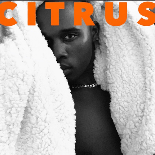 Citrus: List of Citrus Fruits Cover Art Blurred Background