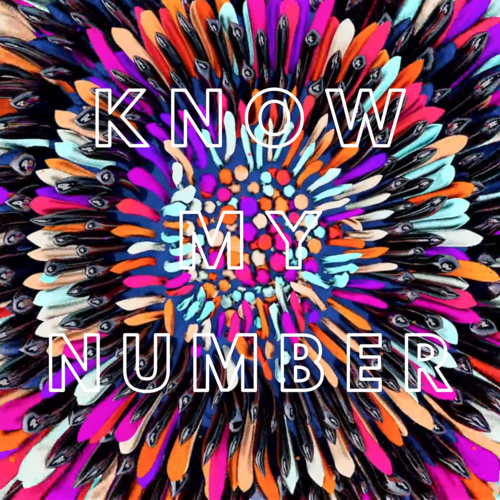 Know My Number Cover Art Blurred Background