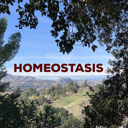 Homeostasis Cover Art Blurred Background