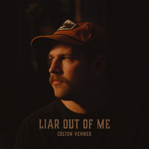 Liar Out of Me Cover Art Blurred Background